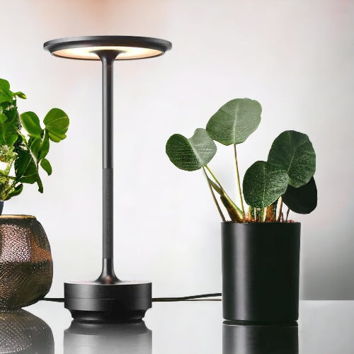 Stellarglo Ambiencelight-Leuchtezauber